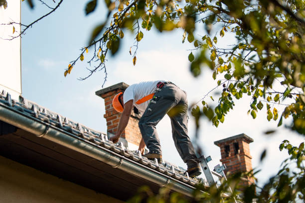 Best Roof Gutter Cleaning  in Gary, IN