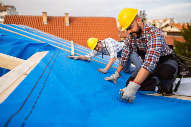 Best Residential Roof Replacement  in Gary, IN