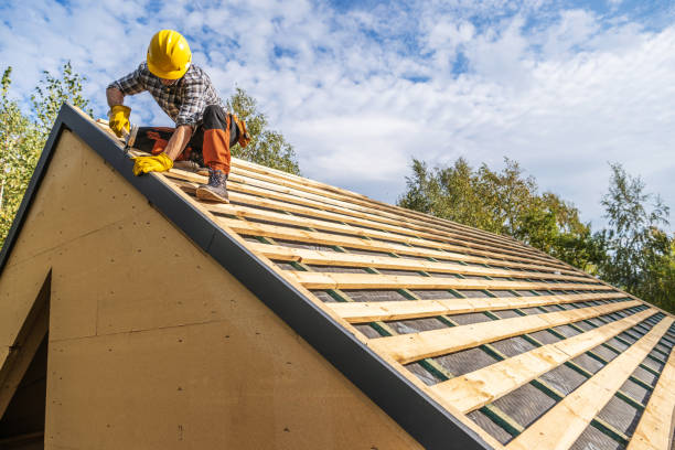 Best Metal Roofing Contractor  in Gary, IN