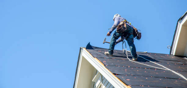Best Storm Damage Roof Repair  in Gary, IN